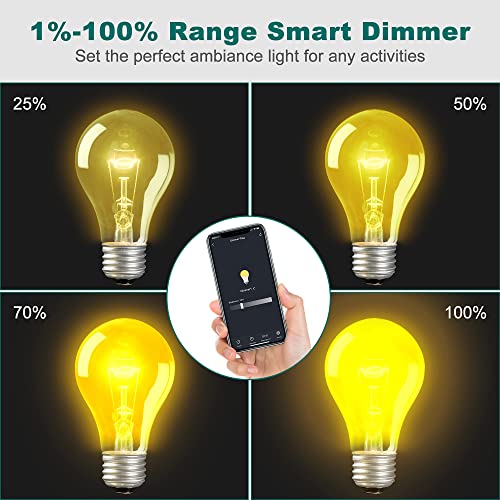 Outdoor Light Dimmer for String Lights Outdoor Smart Dimmer Plug 2