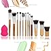 12 Pieces Makeup Brush Set Professional
