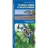 Florida Birds A Folding Pocket Guide To Familiar Species