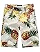 SSLR Men's Pineapples Mid Rise Hawaiian Aloha Flat Front Casual Shorts (32, White)