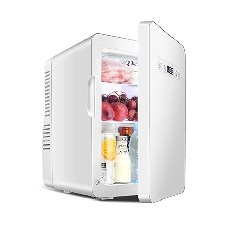 Dyl Refrigerador pequeño congelado Mini refrigerador de Medicina ...