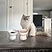 Raised Cat Bowl, Elevated Cat Food Bowls Water Bowl with stand Ceramic Cat Feeding Bowls Stress Free Pet Food & Water Bowls