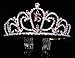 Crystal Rhinestone Sweet 16 Floral Heart Tiara,Pink