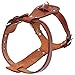 Beirui Genuine Leather Dog Harness - No Escape Harnesses for Medium Large Dogs Pet Training Walking - Easy Adjustable Heavy Duty Strap Harness (Chest for 24-29