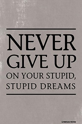 Never Give Up On Your Stupid, Stupid Dreams Demotivational Poster Print