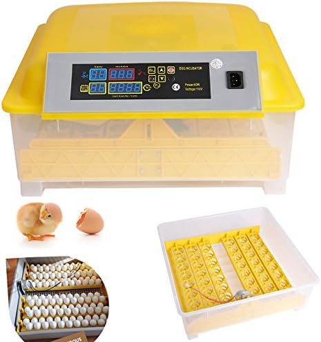 Bluefringe 48 Egg Incubator Digital Clear Egg Turning Incubator Hatcher Automatic Temperature Control Energy Hatching Machine for Chickens, Ducks, Quails, Pigeons with US Plug (48 Automatic Incubator)