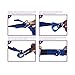 Clever Yoga - 8 ft Yoga Strap for Exercise & Physical Therapy, Leg Stretching Strap Yoga Accessories & Stretching Equipment, Leg Stretcher for Women & Men, Home Workout Essentials - Purple