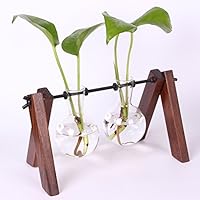 Moonlear Glass Planter Bulb Vase with archaistic Wooden Stand and Metal Swivel Holder for Air Plants Home Garden Decor (2 Bulb vase)