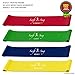 Swift-n-Snug Best Workout Bands from Resistance Exercise Bands : X-Heavy, Heavy, Medium & Light In Free Nylon Carry Pouch for a Toned Body, Set of 4