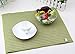 Set of 2 Dish Drying Mat Microfiber - Dual Surface Fast Absorbent Washable Sage-green (16 by 19 inches) - by Utopia Kitchen