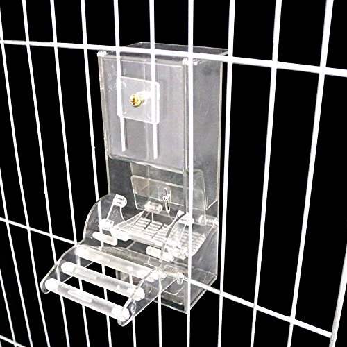 1 Evursua+Accessories+Budgerigar+Cockatiel+Parakeet