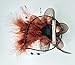 Removable Fascinator Hair Clip Feather Wedding Headwear Bridal 1920s Headpiece Women (Coffee)