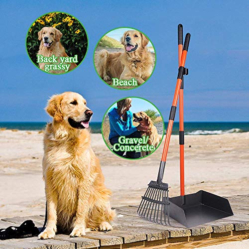 TNELTUEB Extra Large Pooper Scooper, Pet Poop Tray and Rake with