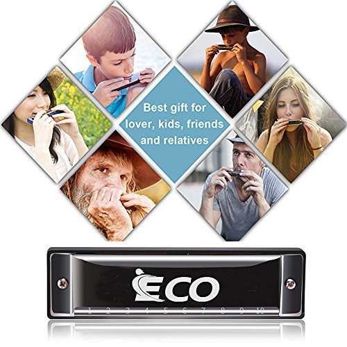 Diatonic Harmonica – 10 Hole Blues Harp with Case, Learning Instruction, Polishing Cloth, Key of C
