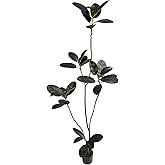 AfanD Artificial Rubber Tree,6ft Tall Fake Plants Artificial Rubber Plants for Indoor, Fake Trees for Office Home Living Room Floor Patio Greening Porch Decor。