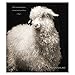 I Am Goat 2018 Wall Calendar: Animal Portrait Photography and Wisdom From Nature's Philosophers