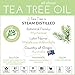 ArtNaturals 100% Pure Tea Tree Essential Oil - (.5 Fl Oz / 15ml) - Natural Premium Melaleuca Therapeutic Grade - Great with Soap and Shampoo, Face and Body Wash - Treatment for Acne, Lice