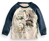 Fiream Boys' Cotton Crewneck Long Sleeve Cartoon T-shirt