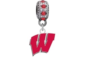Final Touch Gifts University of Wisconsin Logo Charm Fits Compatible with Pandora Style Bracelets