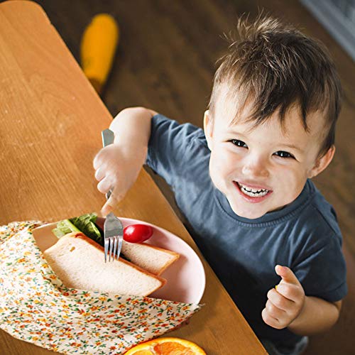 Beeswax Wrap, BEAUTLOHAS. Reusable Food Wrap - PataBee Reduce Plastic to Zero Waste - Organic, Sustainable, Eco-Friendly and Biodegradable Storage Wraps (1 Large, 2 Medium, 1 Small)
