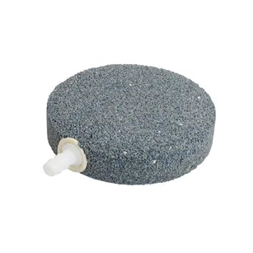 Amazoncom Edealmax Aquarium Ronde Minérale Frittés Air