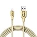 Anker Powerline+ Lightning Cable (6ft) Durable and Fast Charging Cable [Double Braided Nylon] for iPhone Xs/XS Max/XR/X / 8/8 Plus / 7/7 Plus / 6/6 Plus / 5s / iPad and More(Golden)