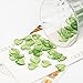 Craftdady 100Pcs Transparent Green Acrylic Leaf Pendants 15x15mm Plastic Leaf Bead Charms with 1.5mm Hole for DIY Jewelry Craft Making