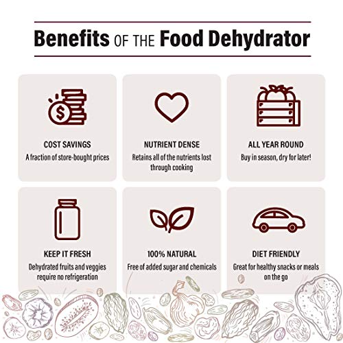 Gourmia GFD1650 Premium Electric Food Dehydrator Machine Digital