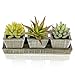 MyGift Realistic Artificial Succulent Plants in Rustic Brown Wooden Square Pots & Rectangular Display Tray, Set of 3