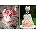 Cake Fondant Decorating Sugarcraft Cookie Plunger Cutters Butterfly Mold