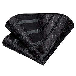 Hi-Tie Black Striped and Red Dot Ties for Men Woven