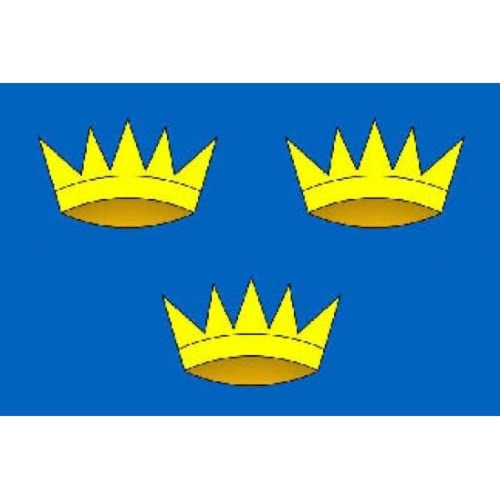 AZ FLAG - Munster Flag - 3x5 Ft - 100D Polyester Province Of Ireland Banner with Two Metal Grommets - Fade Resistant - Vivid Colors - 3' x 5' Feet - 150x90 Cm