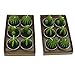 Ogrmar 12 PCS Cactus Candles Decorative Tea Light Candles for Home Party Birthday Wedding Decoration 3 Styles (Green)