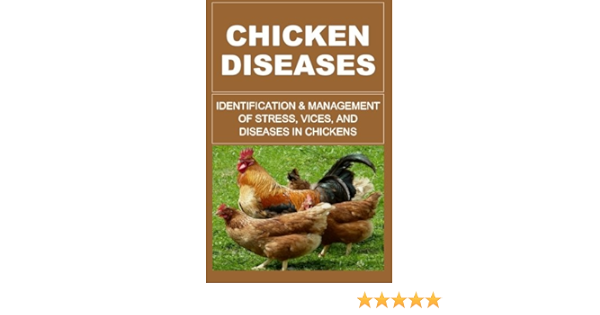 Chicken Diseases Identification And Management Of Stress Vices And Diseases In Chickens Okumu Francis 9781511426428 Amazon Com Books