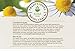 Traditional Medicinals Organic Chamomile with Lavender Tea, Single Serve Cups for Keurig K-Cup Brewers, 10 Count