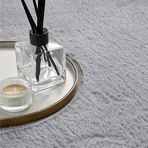 Bedsure Faux Fur Area Rug - Soft Fluffy Fuzzy Rug 2x3 for Bedroom, Grey Shag Rugs Non Slip, Furry Throw Rugs for Living Room, Home Decor for Girls Kids Teen Nursery Dorm Room