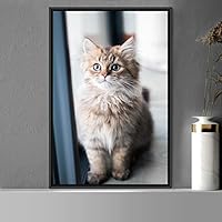 Framed Canvas Wall Art Cat Animals Cat Chic Multicolor Photography Urban - 16x24 inches