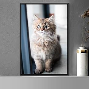 signwin Framed Canvas Wall Art Cat Animals Cat...