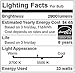 Bonbo 120V 35W LED Pool Light Bulb 6000k White Light Daylight LED Swimming Pool Light Bulb E26 Base 300-500W Traditional Bulb Replacement for Most Pentair Hayward In Ground Swimming Pool Fixture