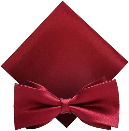Hongteng Noeud Papillon Homme Soie Homme Daffaires Avec