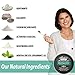 Primal Life Organics - Dirty Mouth Toothpowder, Activated Charcoal Tooth Cleaning Powder, Essential Oils with Kaolin & Bentonite Clay, 200+ Brushings, Organic, Vegan (Black Spearmint, 0.25 oz)