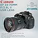 Canon EF 24-70mm f/2.8L II USM Standard Zoom Lens with Altura Photo Advanced Accessory and Travel Bundle