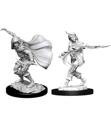 D&D: Nolzur's Marvelous Miniature - Female Human Wizard UDGÅET