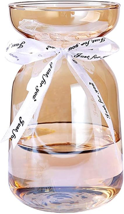 Amazon Co Jp ガラス 花瓶 フラワーベース ガラスボトル アレンジ インテリア 水栽培 生け花 おしゃれ シンプル 飾り瓶 北欧 ホーム キッチン