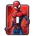Open Road Brands Spider-Man Metal Switch Plate