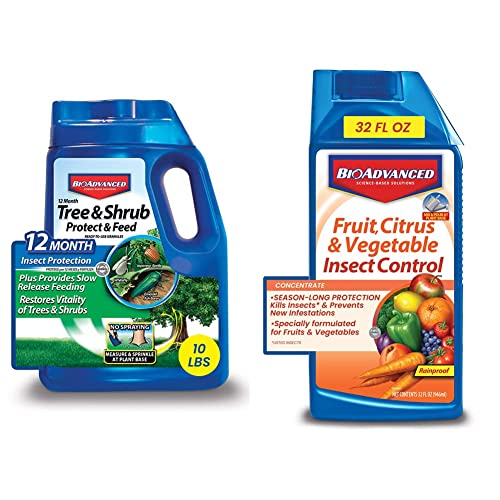 BioAdvanced 12 Month Tree and Shrub Protect and Feed, Granules, 10 lb
