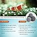 SunGrow Shrimp Balls, Aquarium Water Conditioner Balls, Successful Shedding, Increase Survival Rate, Impart Vibrance, Cool Décor with Wellness Benefits