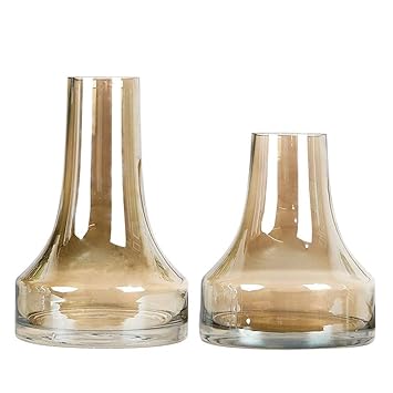 Amazon Com Jjxzm Set Of 2 Chinese Glass Vases For Centerpieces