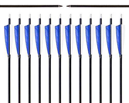 Archery sharly 31" Fiberglass Targeting Practice Arrows Fletching with 5'' Natural Feathers and Replacement Tips for Recurve and Long Bow (12 Pack)