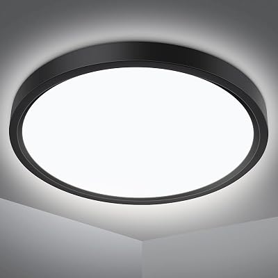 Defurhome 24W LED Ceiling Light 5000K IP54 Ø30cm Black Dome